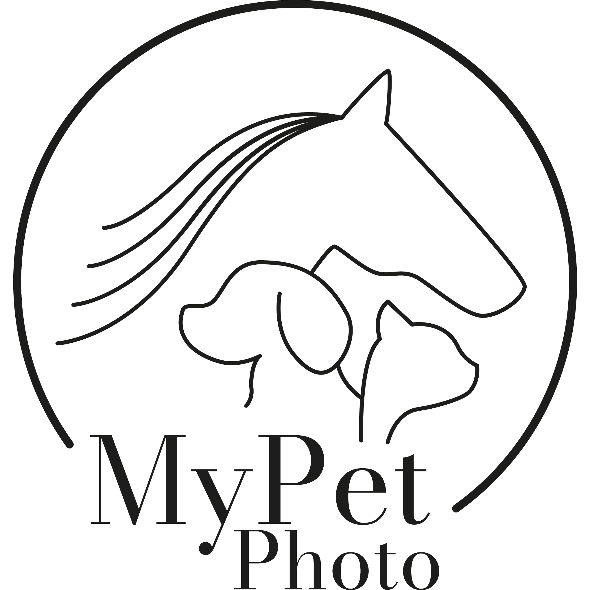 MyPetPhoto Arculat és Honlap készítés