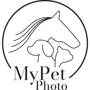MyPetPhoto Arculat és Honlap készítés